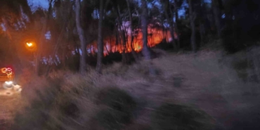 Heybeliada’da ormanlık alanda yangın