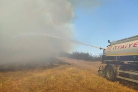 İpsala’daki orman yangında 200 dekarlık alan zarar gördü