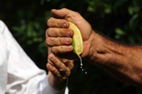 İstanbul’da geçen ay en çok pahalanan ürün limon oldu