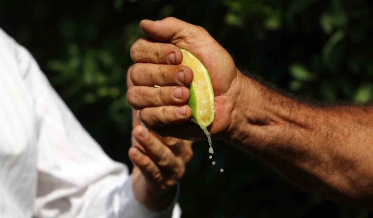 İstanbul’da geçen ay en çok pahalanan ürün limon oldu