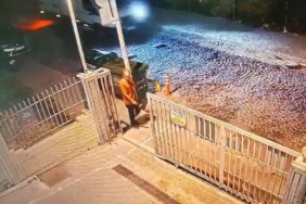 İstanbul’da zihinsel engelli adama sokak köpekleri saldırdı