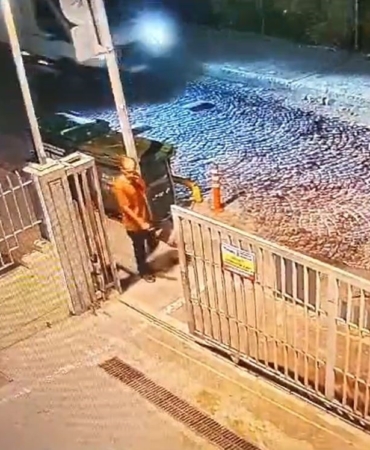 İstanbul’da zihinsel engelli adama sokak köpekleri saldırdı