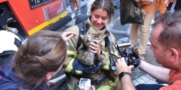 İtfaiyeci Seray, kedinin hayatını kurtardı