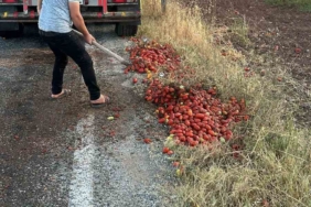İzmir’deki yangını söndüren itfaiye erleri, Manisa’da yola saçılan domatesleri temizledi
