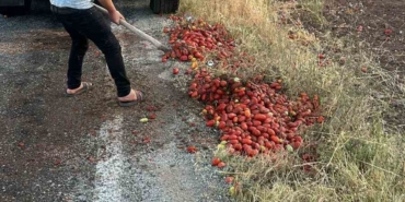 İzmir’deki yangını söndüren itfaiye erleri, Manisa’da yola saçılan domatesleri temizledi