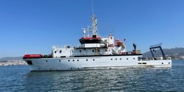 İzmit Körfezi’nde deniz ekosistemi hayat buluyor