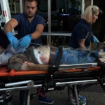 İzmit’te tramvayın çarptığı bir kişi hayatını kaybetti