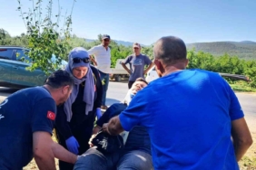 İznik’te bir otomobil sebze tezgahına çarptı