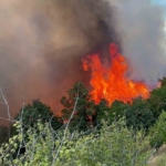 İznik’te çıkan orman yangınına 6 uçak ve 3 helikopter müdahale ediyor