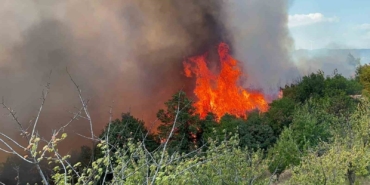 İznik’te çıkan orman yangınına 6 uçak ve 3 helikopter müdahale ediyor