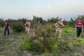 Jandarma fındık hırsızlarına karşı nöbette