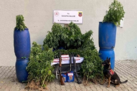 Jandarmadan uyuşturucu ve kaçakçılık operasyonu: 14 tutuklama