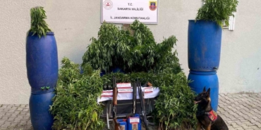 Jandarmadan uyuşturucu ve kaçakçılık operasyonu: 14 tutuklama