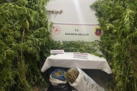 Jandarmadan uyuşturucuya geçit yok