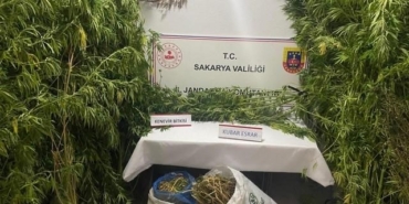 Jandarmadan uyuşturucuya geçit yok