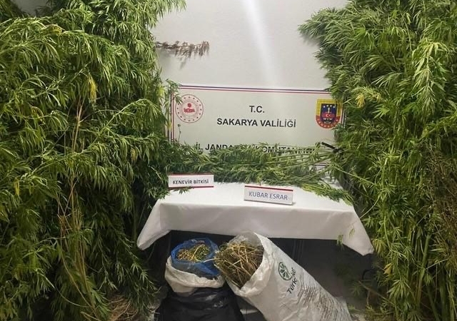 Jandarmadan uyuşturucuya geçit yok