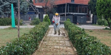 Kağıthane Belediyesi peyzaj çalışmaları hızla devam ediyor