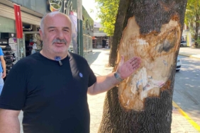 Kamyon faciasından canlarını son anda kurtardılar