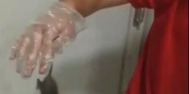 Kapaklı’da dev gıda zincirinde skandal: Fare elini ısırdı, ’bir şey olmaz dediler’ iddiası