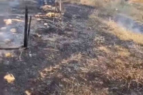 Karacabey’de otluk alanda çıkan yangın korkuttu