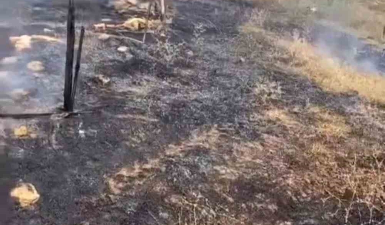 Karacabey’de otluk alanda çıkan yangın korkuttu