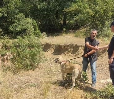 Kaybettiği  küçükbaş hayvanlarını jandarma buldu