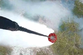 Kazdağı Milli Parkı’nda orman yangını