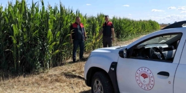 Kırklareli’nde ekili alanlar incelendi