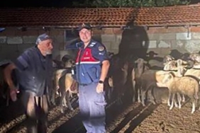 Kırklareli’nde kaybolan koyunlar bulundu