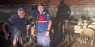 Kırklareli’nde kaybolan koyunlar bulundu