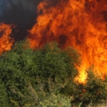 Kırklareli’nde korkutan yangın: 600 dekar alan zarar gördü