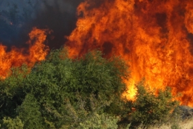 Kırklareli’nde korkutan yangın: 600 dekar alan zarar gördü