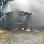 Kırklareli’nde yangından arılar da etkilendi