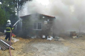 Kırklareli’nde yangından arılar da etkilendi