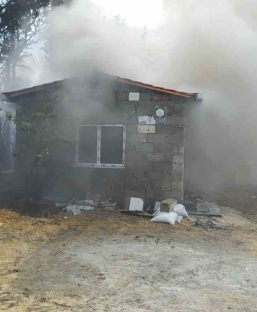 Kırklareli’nde yangından arılar da etkilendi