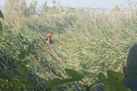 Kısaltmak için girdikleri yol kabusları oluyordu