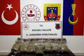 Kocaeli’de 2 araçta 23 kilo bonzai ele geçirildi