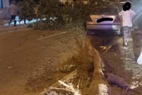 Kontrolden çıkan otomobil refüjdeki ağaçlara çarptı: 2 yaralı
