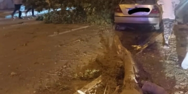 Kontrolden çıkan otomobil refüjdeki ağaçlara çarptı: 2 yaralı