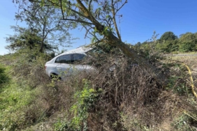 Kontrolden çıkan otomobil, tarlaya girdi