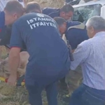 Kontrolden çıkan otomobil yan yattı, sıkışan sürücü güçlükle kurtarıldı