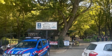 Mangal yakanlara ceza yağıyor