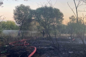 Mangaldan çıkan yangın 2 dönümlük alanı küle çevirdi