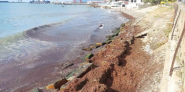 Marmara Denizi’nde kızıl yosun alarmı