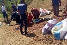 Mevsimlik tarım işçilerini taşıyan traktör devrildi: 13 yaralı
