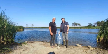 Muratlı’da göletlere 25 bin sazan yavrusu salındı