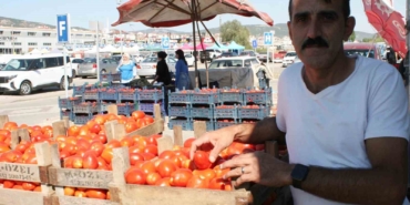 (ÖZEL) Salçalık domatesler görücüye çıktı