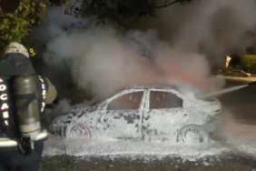 Park halindeki otomobil alev topuna döndü