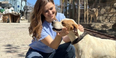 Patili dostlar n11 ile yeni yuvalarını arıyor