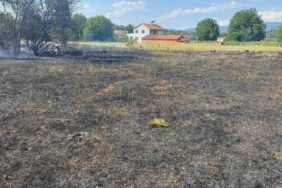 Pazaryeri’nde çıkan arazi yangını korkuttu